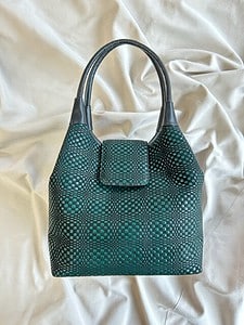 type-N new handbag.